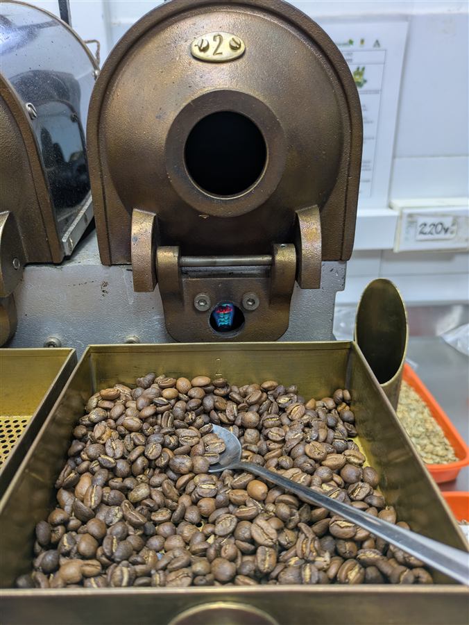 Osorno Volcano blend specialty coffee beans